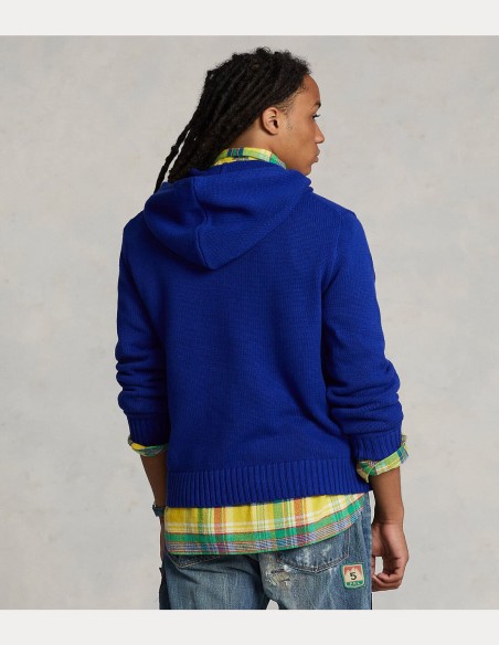 POLO BEAR HOODED JUMPER