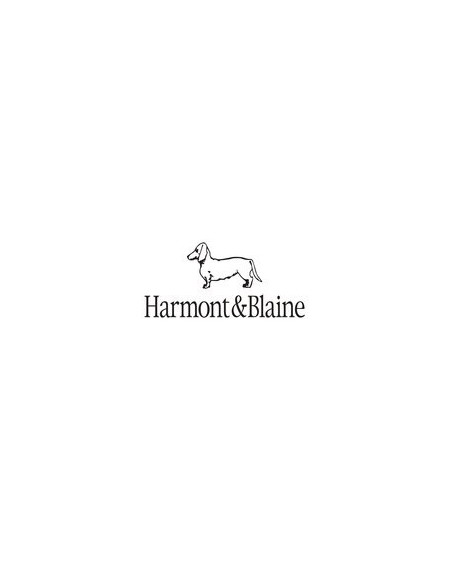 HARMONT & BLAINE
